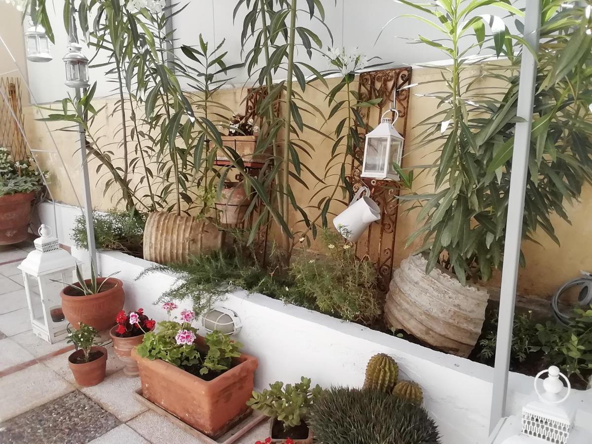 Amazing Semi-Basement Art Apartment Easy Walk To Nafplio Centre エクステリア 写真